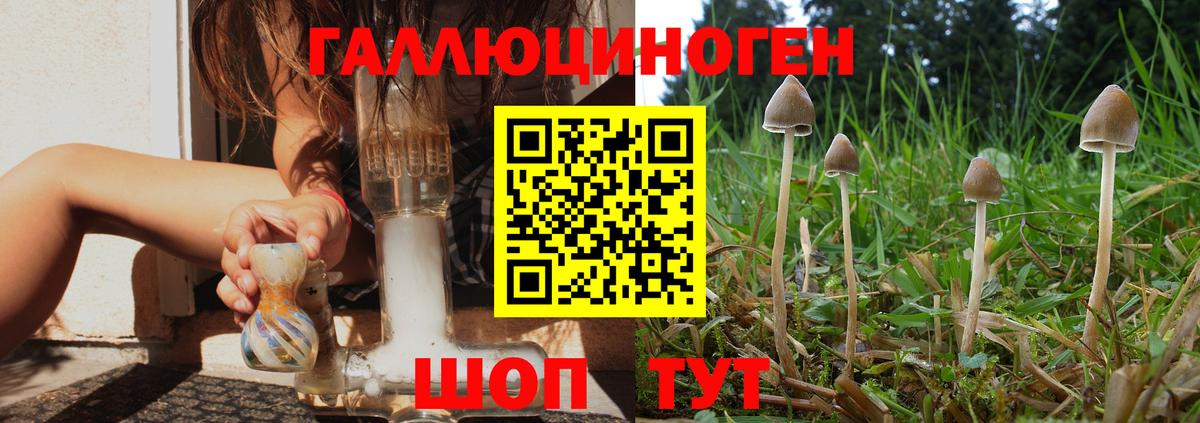 Псилоцибиновые грибы MAGIC MUSHROOMS Александров