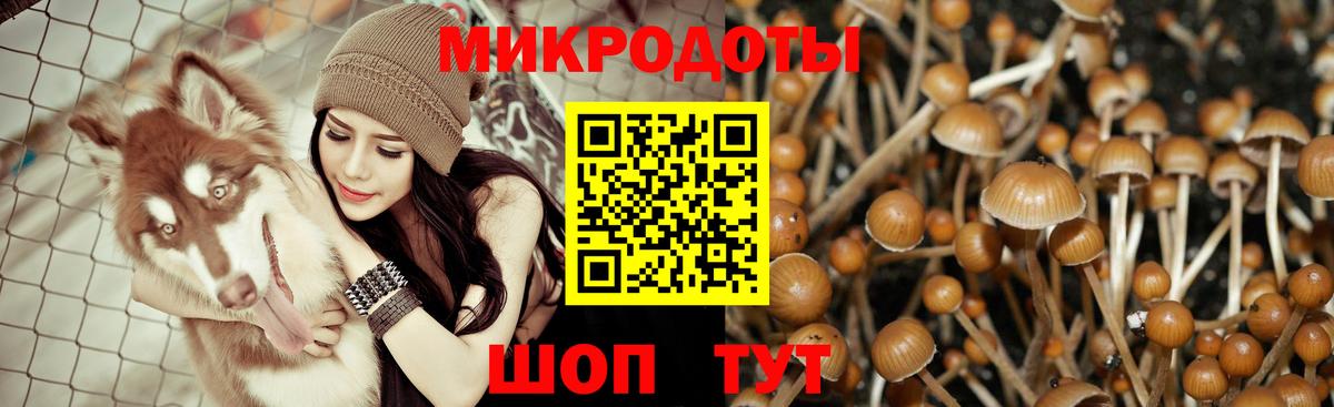 Псилоцибиновые грибы MAGIC MUSHROOMS  Вход с VPN  Галлюциногенные грибы прущие грибы  Александров 